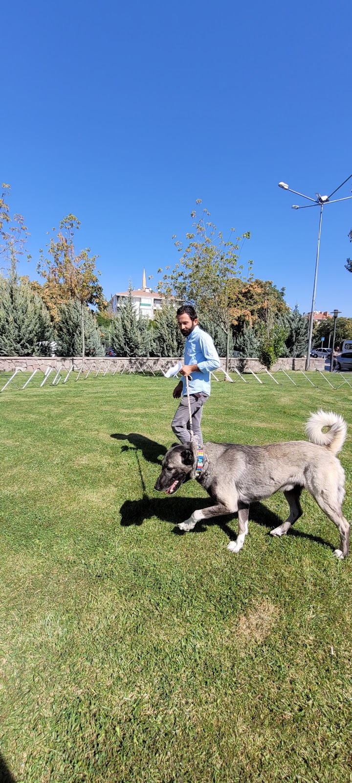 KANGAL KÖPEk ÇİFTLİĞİ