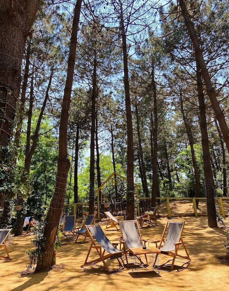 Turkcell Platinum Park
