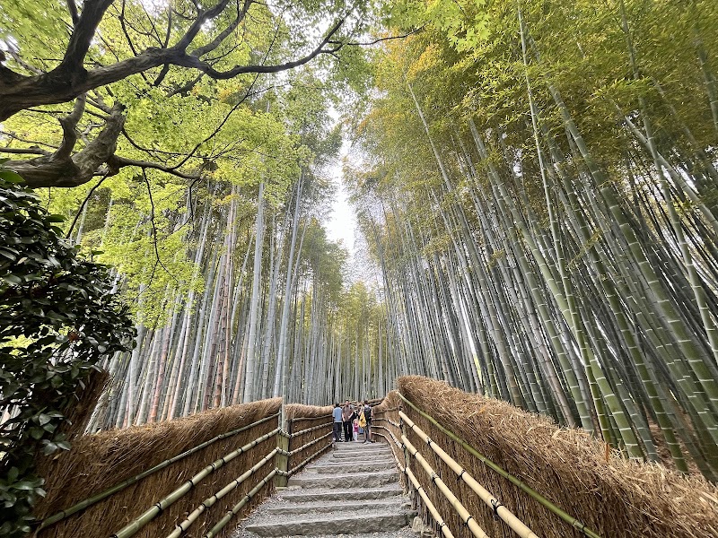 Chikurin (bamboo forrest)