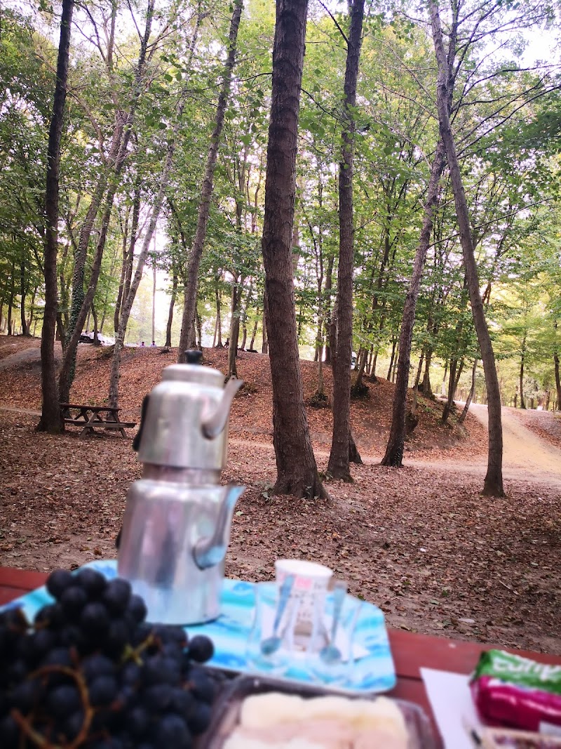 Akali Village Picnic area