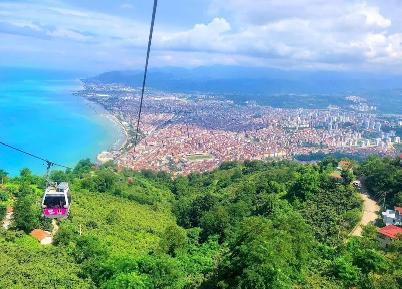 Ordu