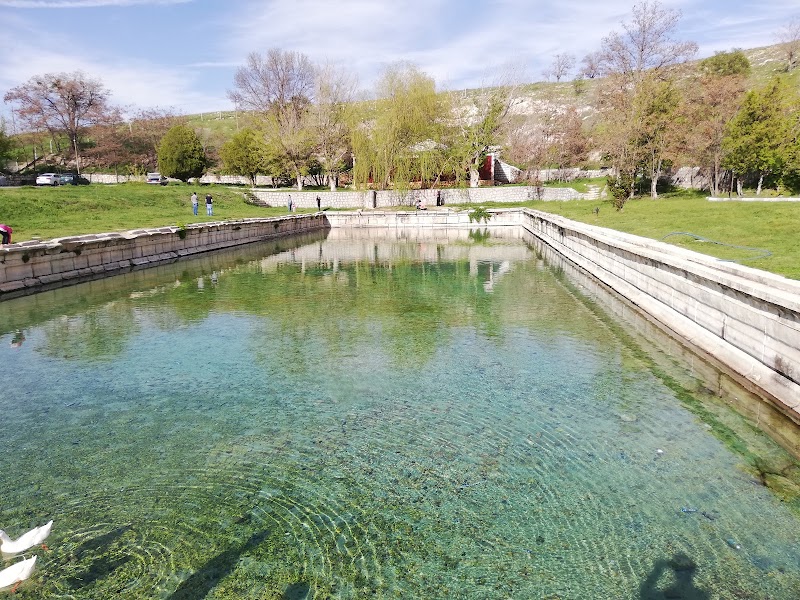Roman Pool
