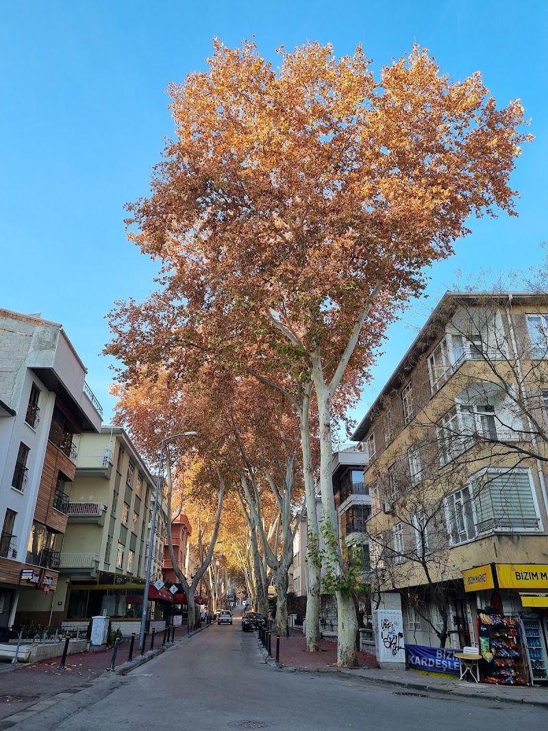 Bahçelievler