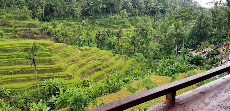 Tegallalang Rice Terrace