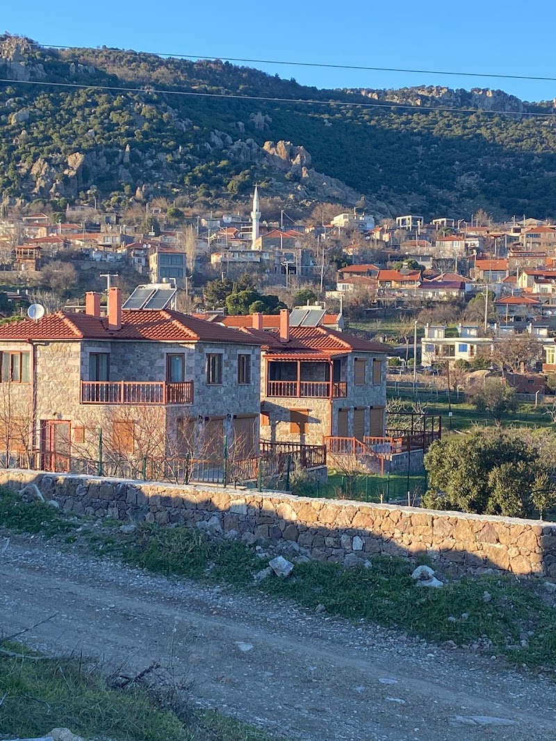Kozlu