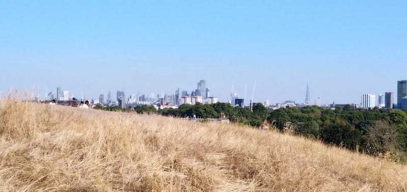 Primrose Hill