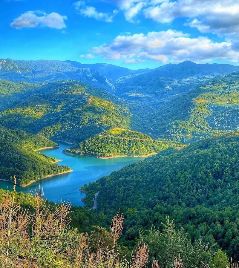 Yuvacık Yakacık