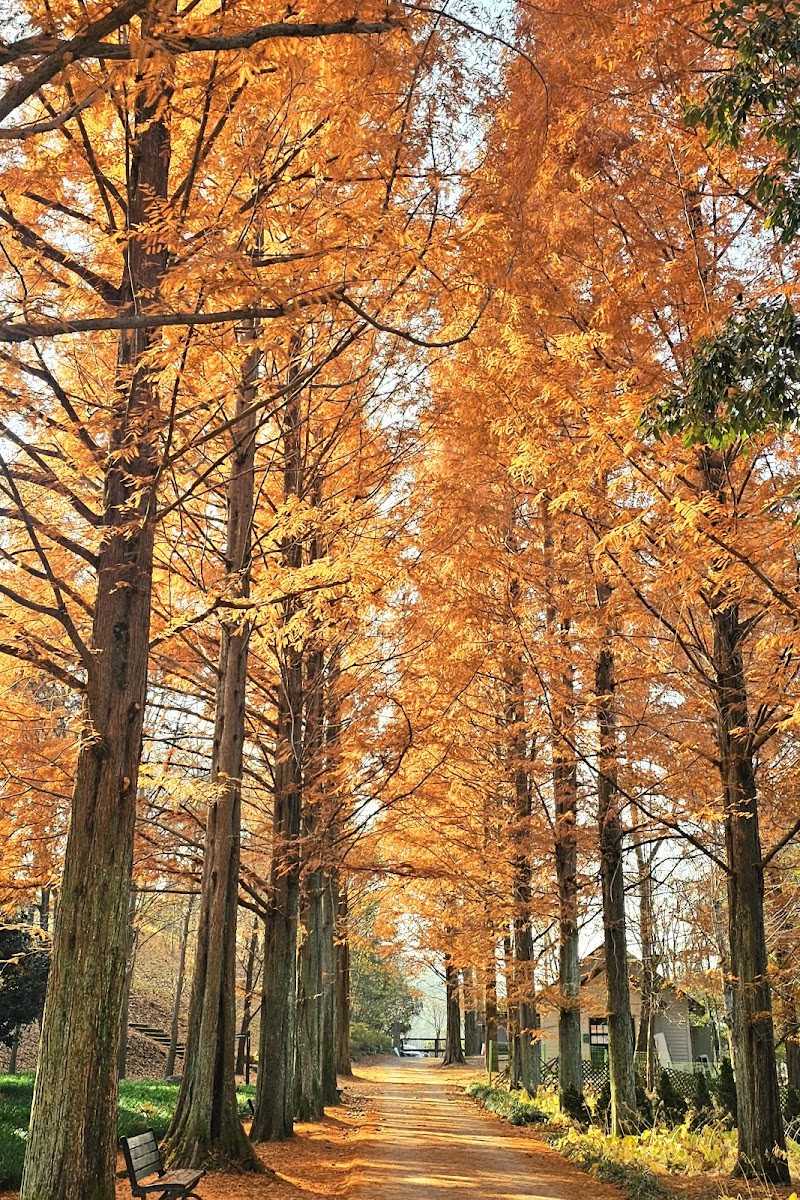 Gyeongsangnamdo Arboretum