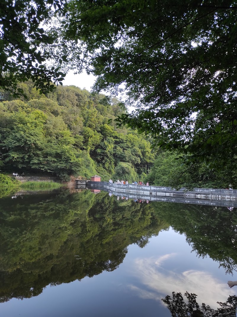 Ayvat Pond