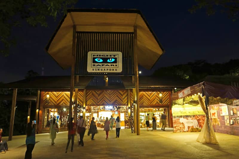 Night Safari