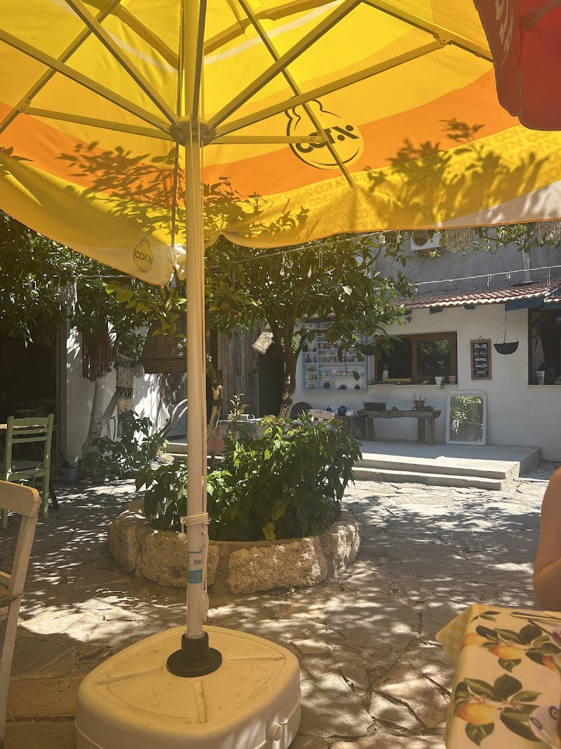 bahçe