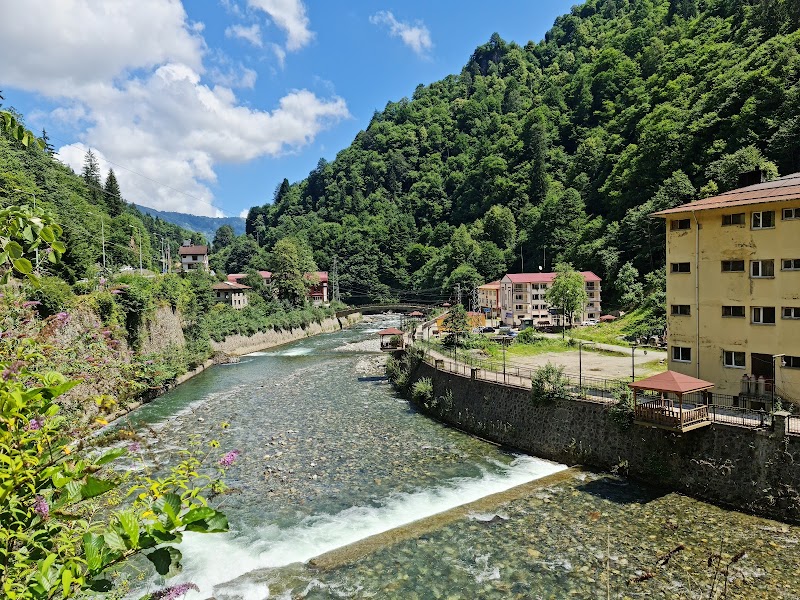 Çamlıhemşin