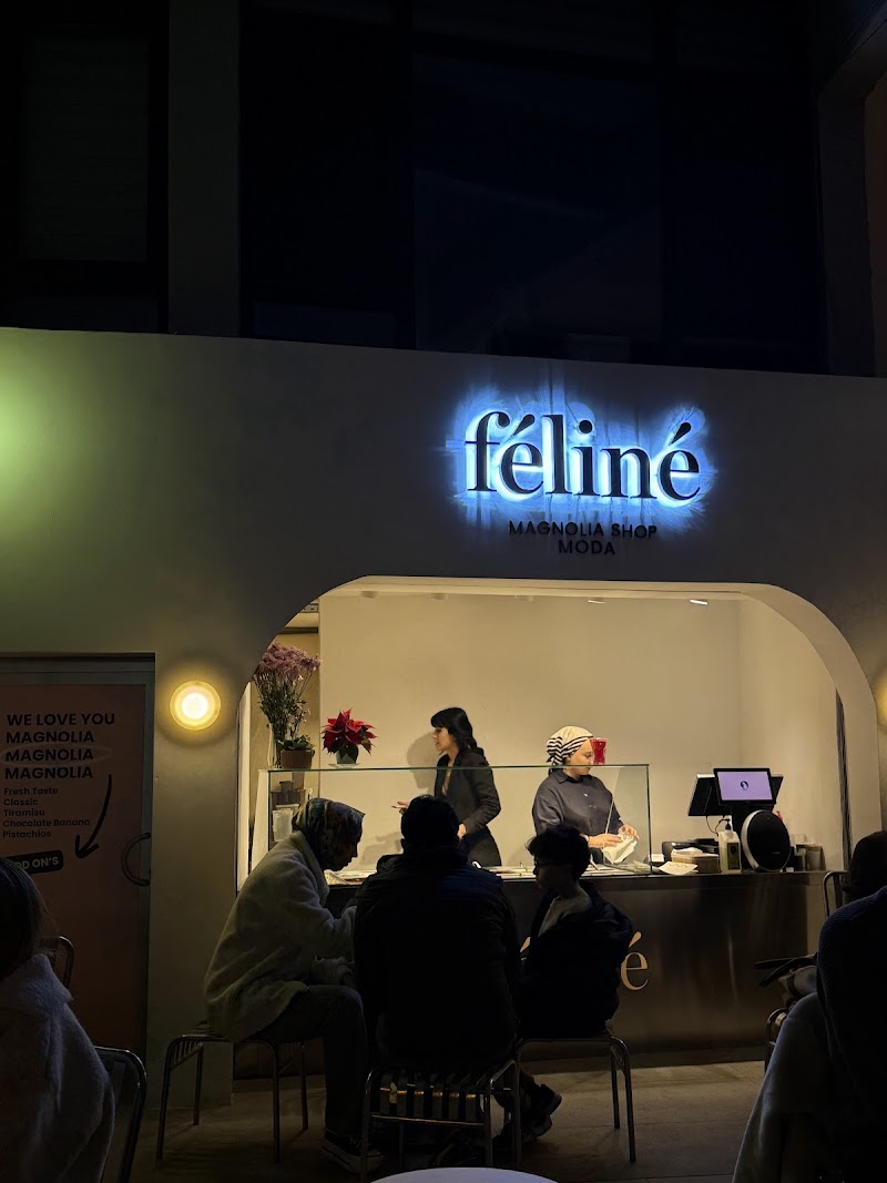 Feline Magnolia Shop