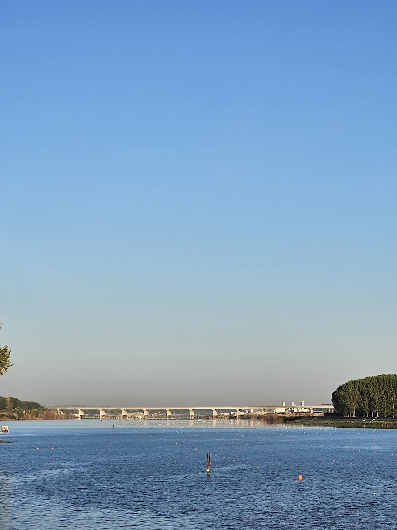 Meriç Bridge