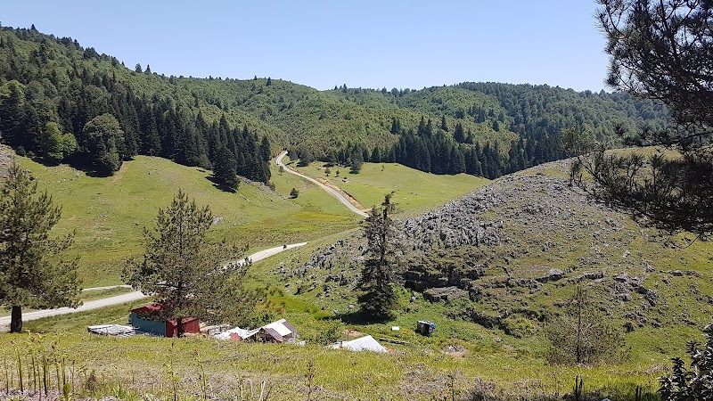 Ercova Yaylası
