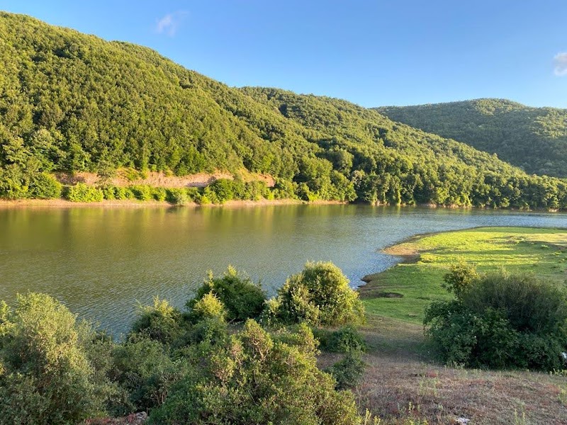 Darlık Dam