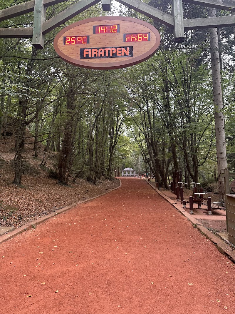 Belgrad ormanı