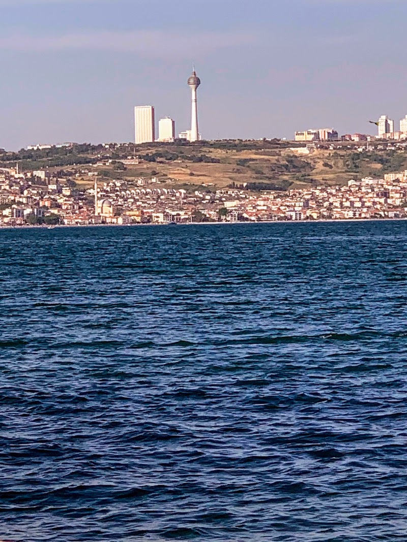 Mimaroba