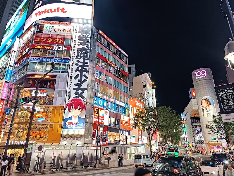 Shibuya Alle-Gehen-Kreuzung