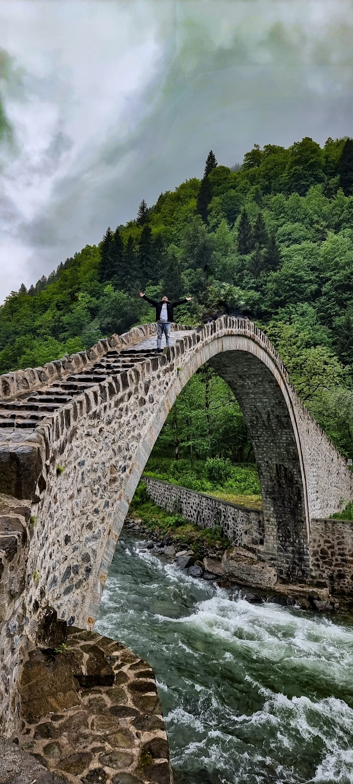 Şenyuva Bridge