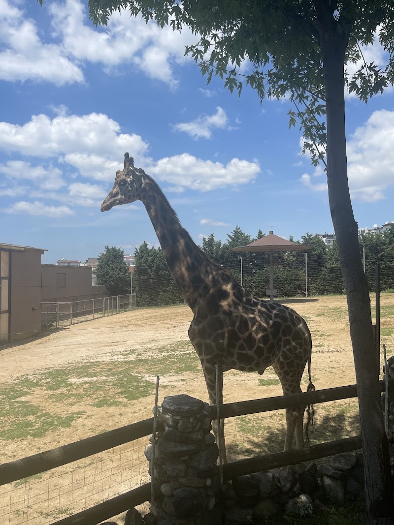 Faruk Yalçın Hayvanat Bahçesi ve Botanik Parkı