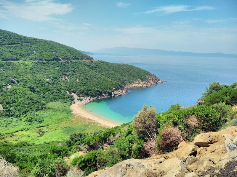 Turankoy