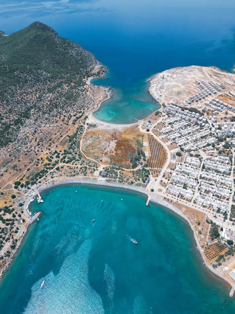 Tisan Batı Koyu
