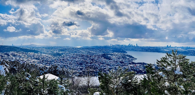 Karlıtepe Mesire Alanı