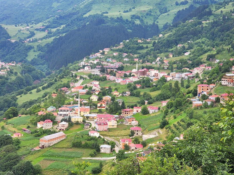 Hamsiköy