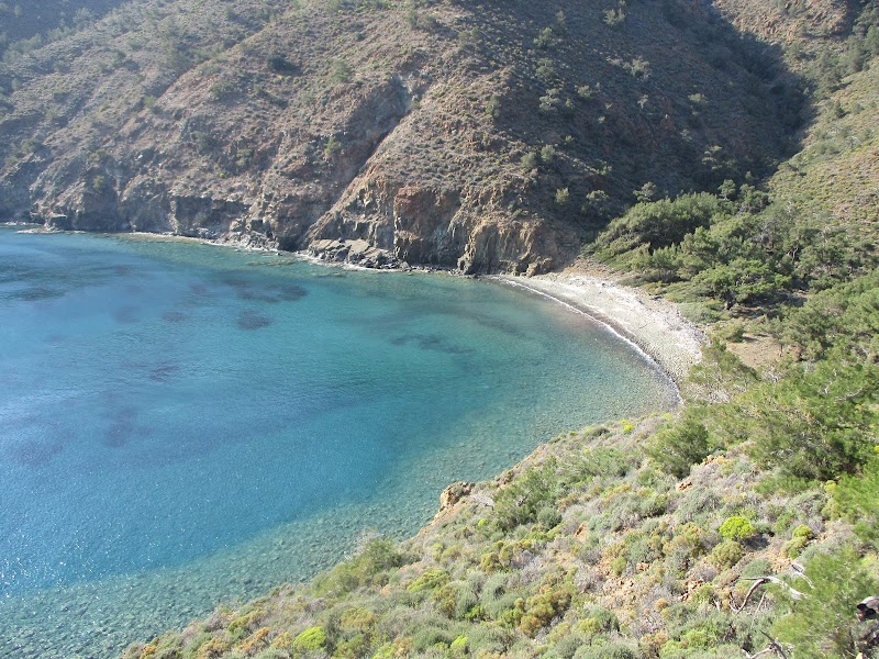 Akvaryum Cove