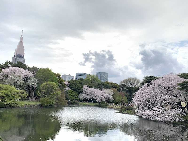 Shinjuku Gyoen Park