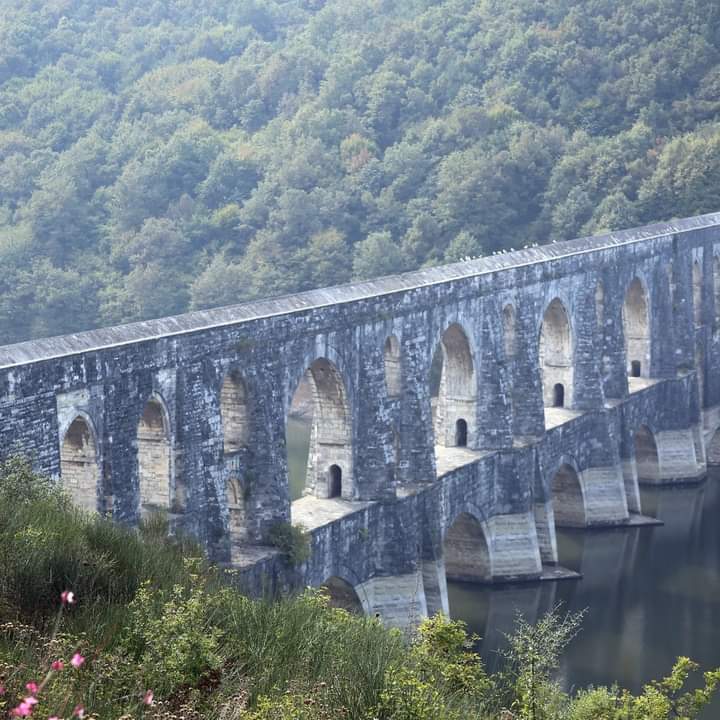 Kemerburgaz Kent Ormanı