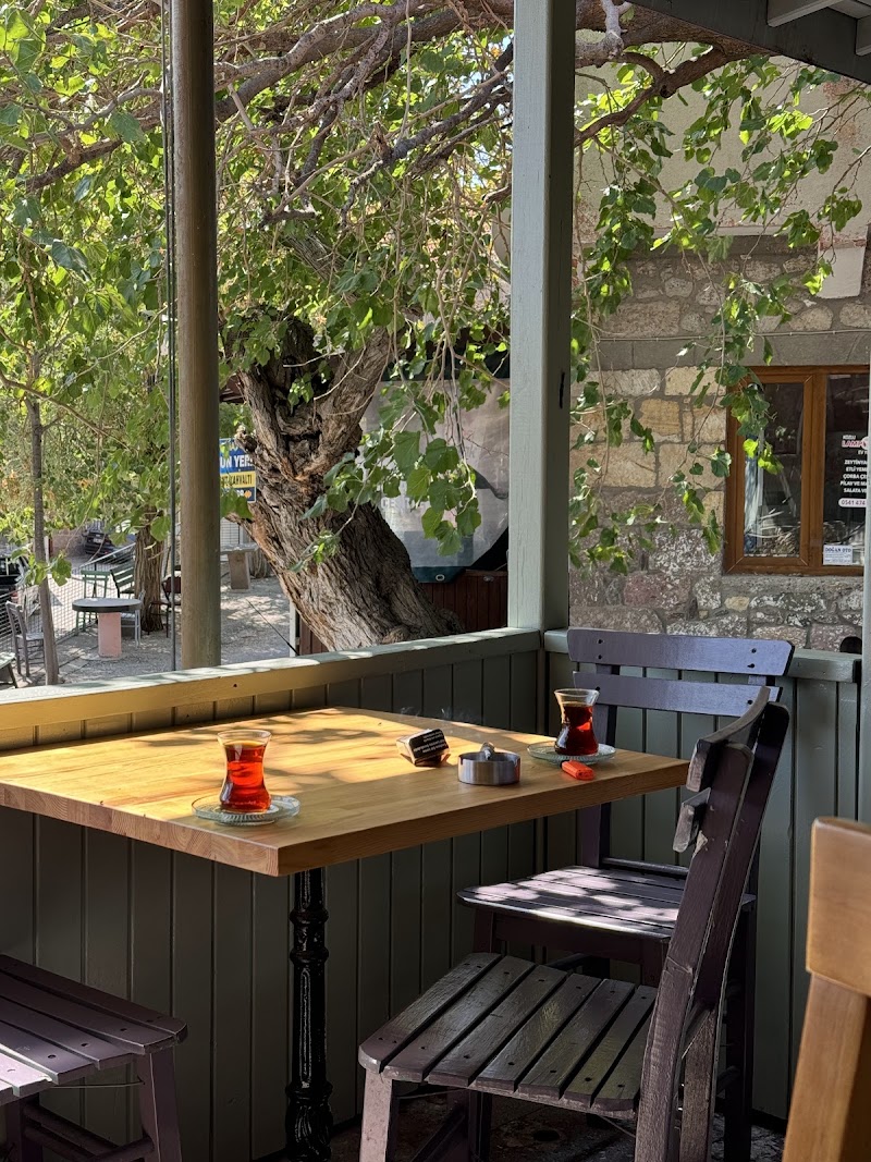 Hayat Home & Cafe