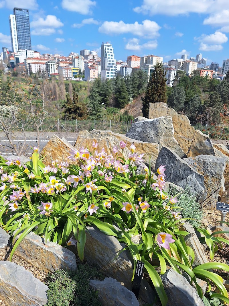 Nezahat Gökyiğit Botanik Parkı Meşe Adası