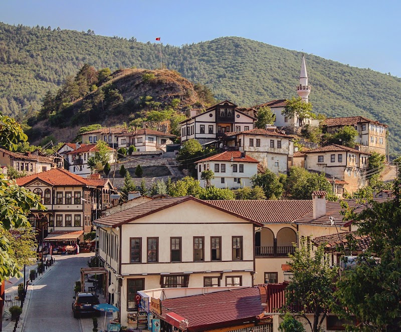 Taraklı