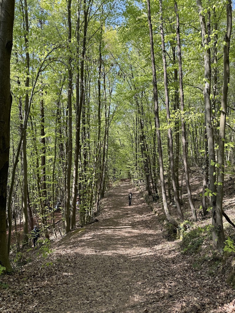 Polonezköy Nature Park