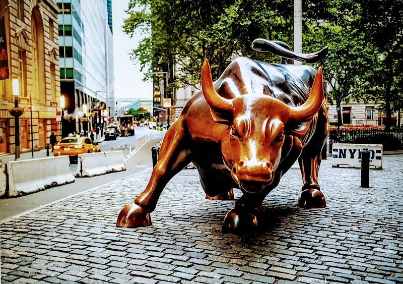 Charging Bull