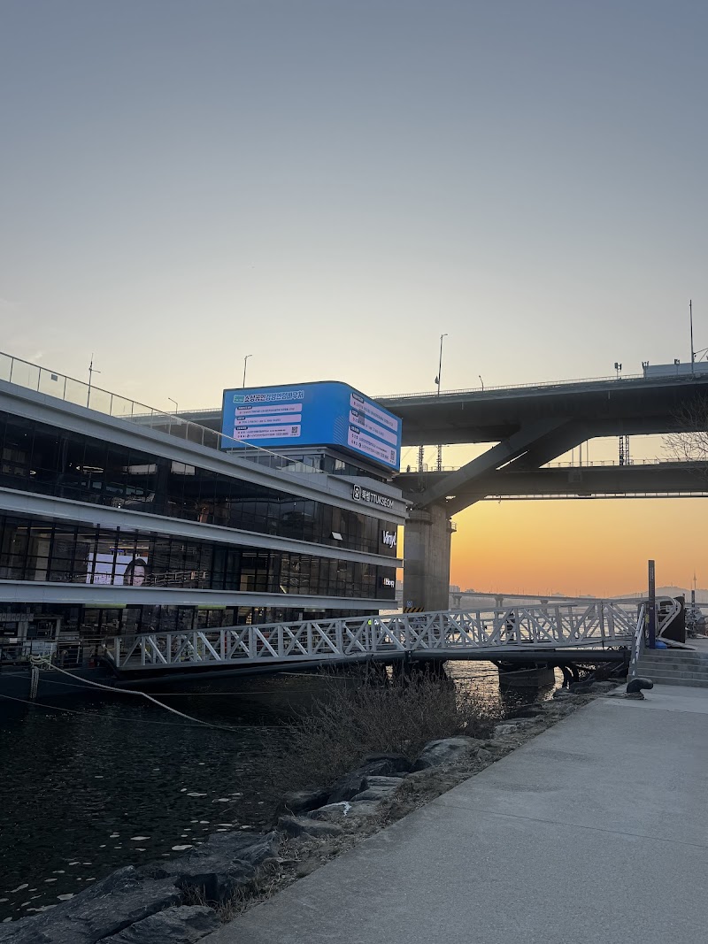바이닐 한강(Vinyl Han-River)