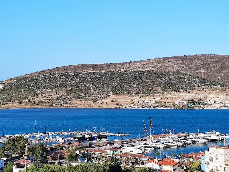 Marin Alaçatı
