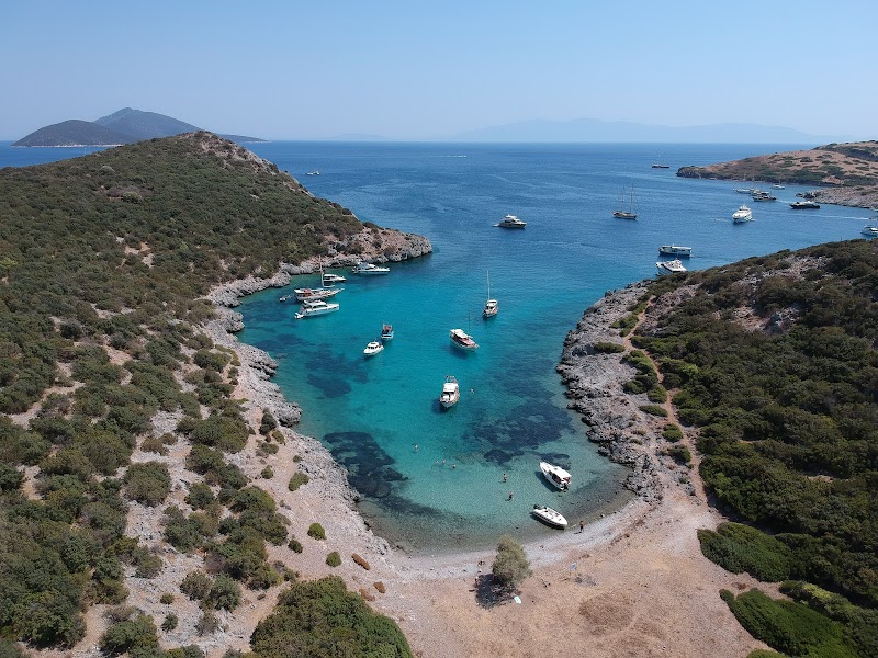 Akvaryum Koyu