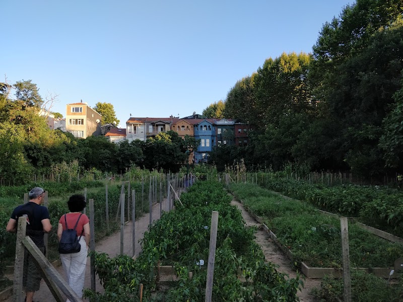 Kuzguncuk Bostanı