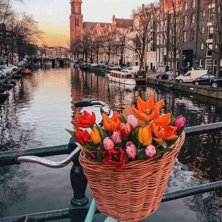 Amsterdam