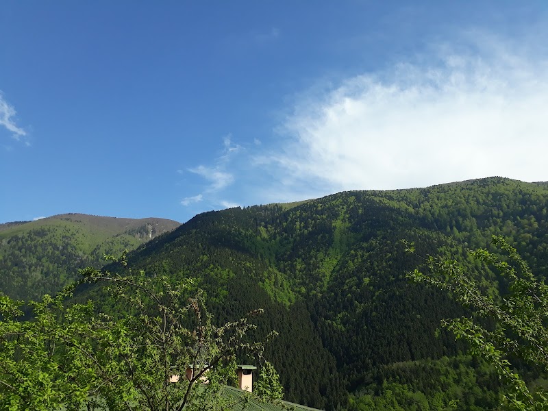 Artvin Kent Ormanı