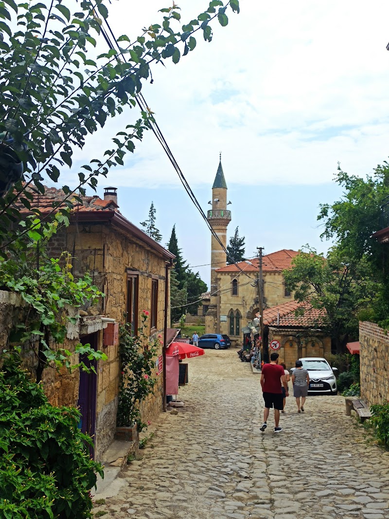 Yeşilyurt Köyü Yolu