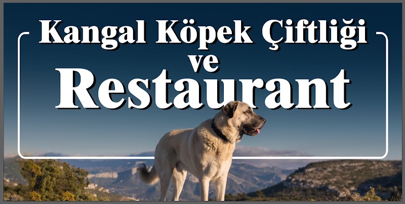 Kangal Kaymakamligi Kopek Yetistirme Ciftligi