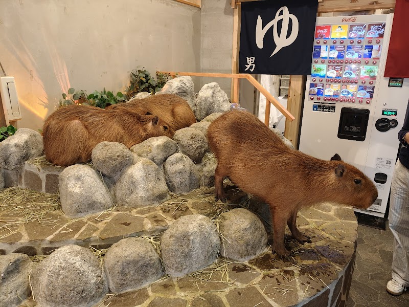 capybaraonsen moffu tokyo
