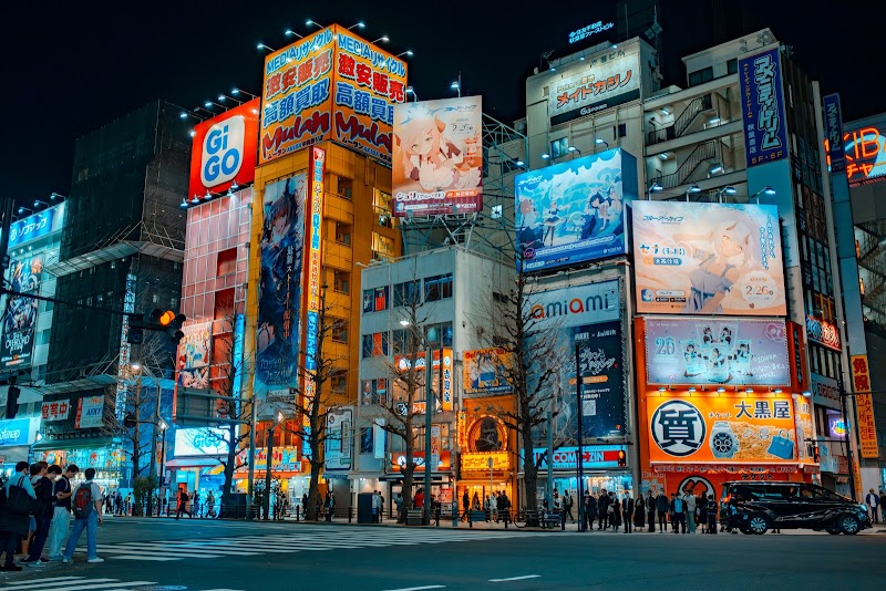 Akihabara Electric Town