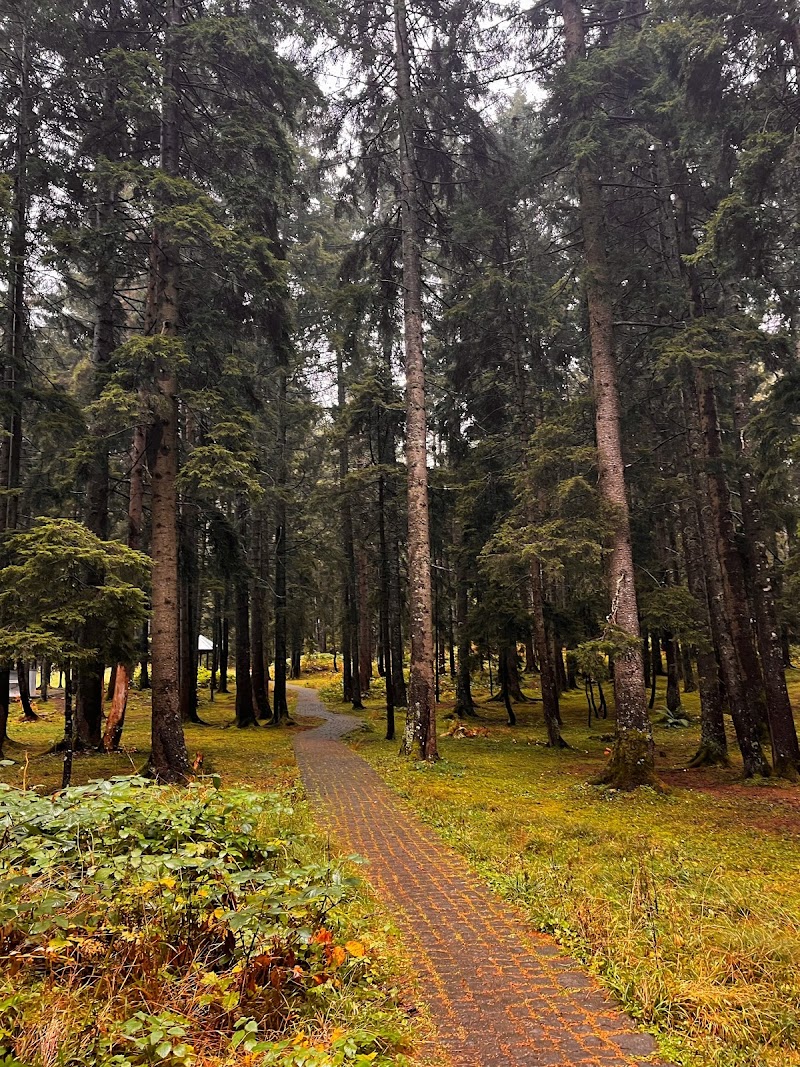 Çalcamili Tabiat Parkı