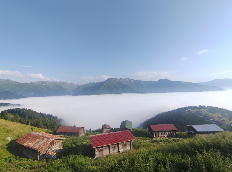 POKUT