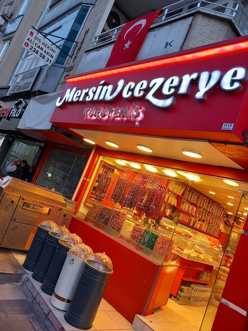 Mersin cezerye kuruyemiş